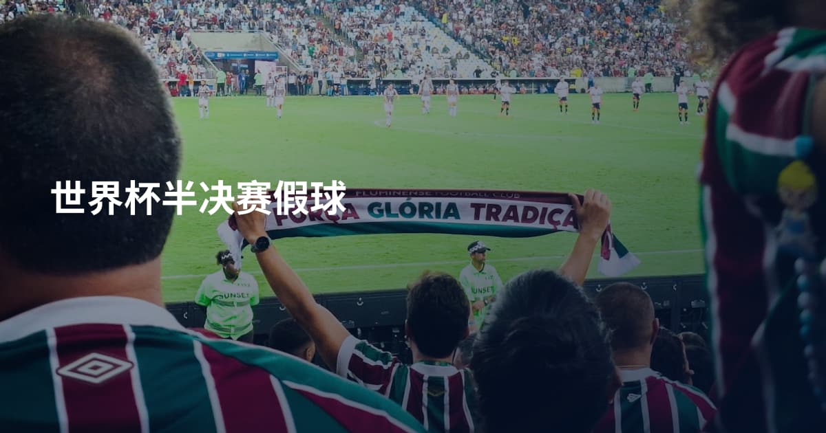 世界杯半决赛假球
