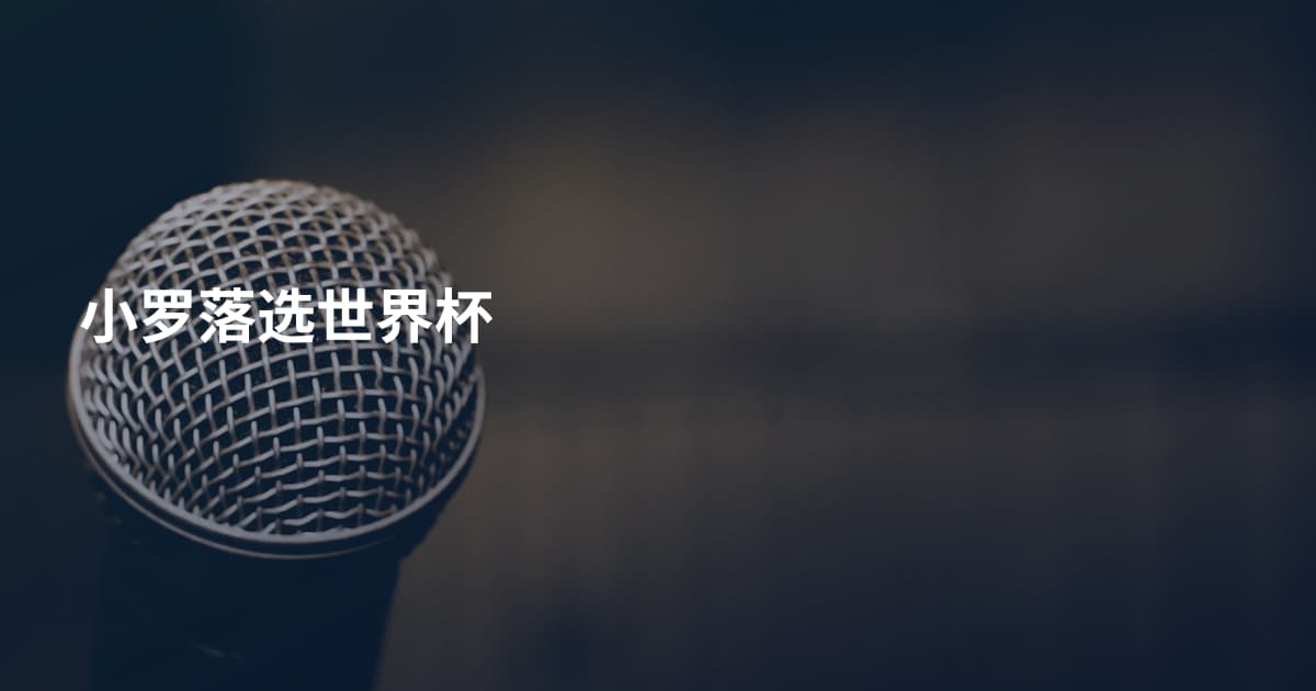 小罗落选世界杯