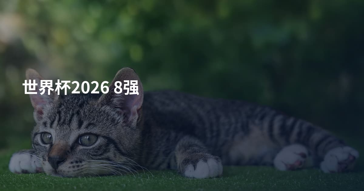 世界杯2026 8强