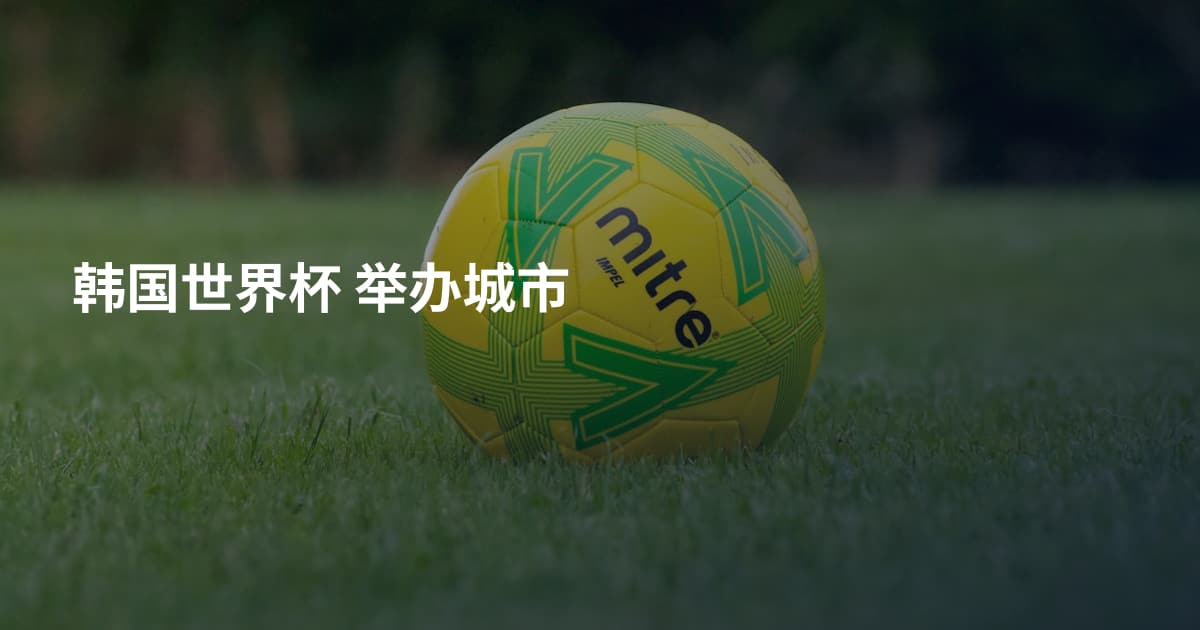 韩国世界杯 举办城市
