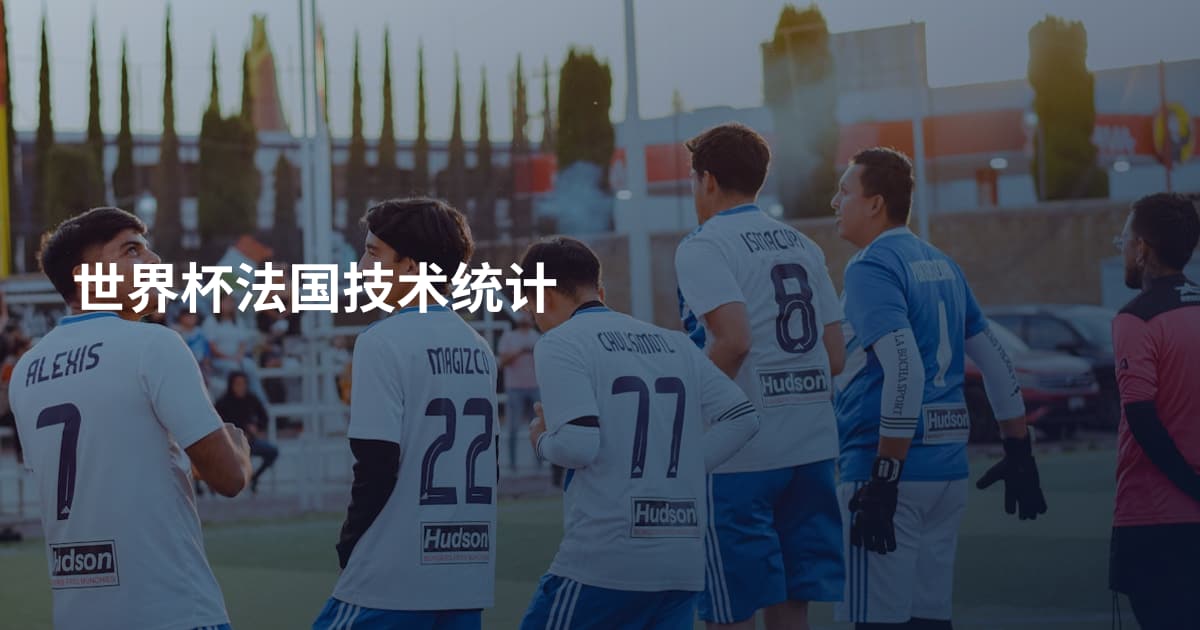 世界杯法国技术统计