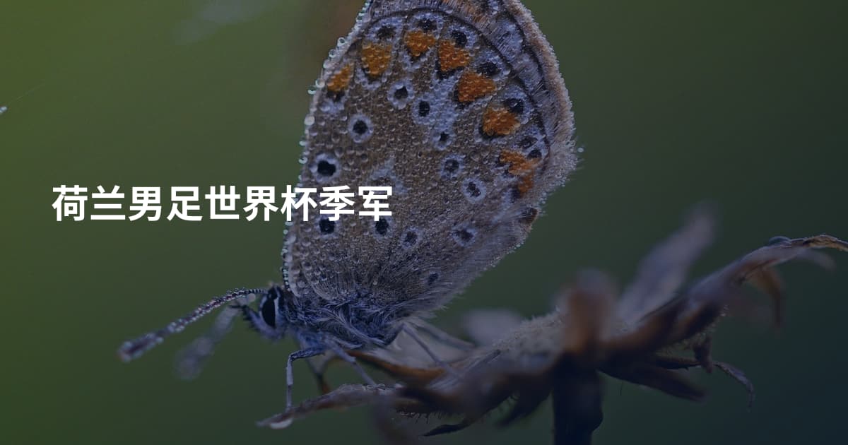 荷兰男足世界杯季军