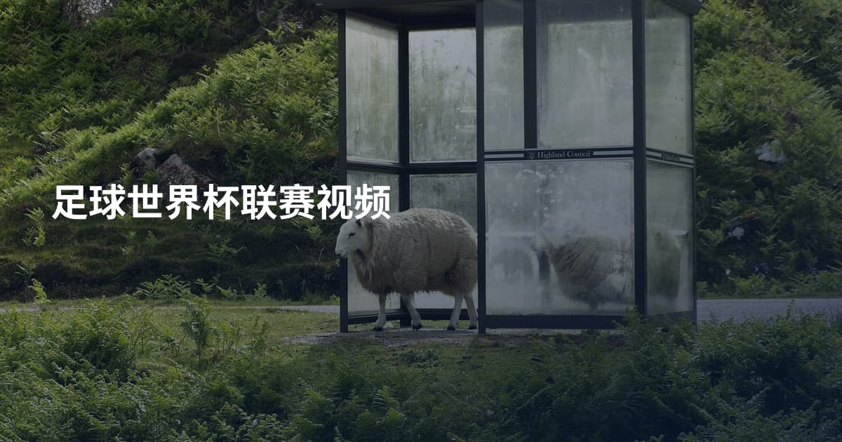 足球世界杯联赛视频