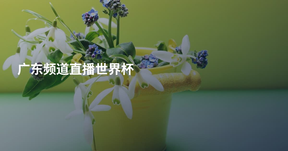 广东频道直播世界杯