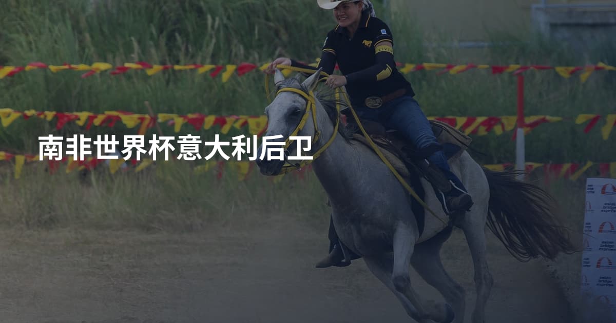 南非世界杯意大利后卫