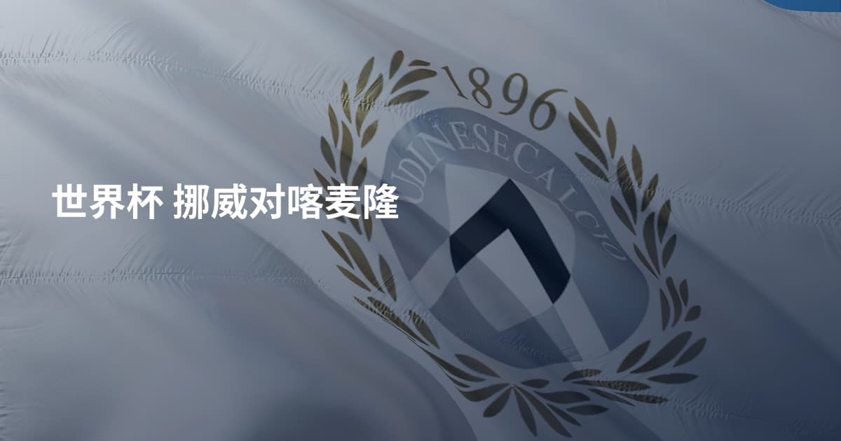 世界杯  挪威对喀麦隆