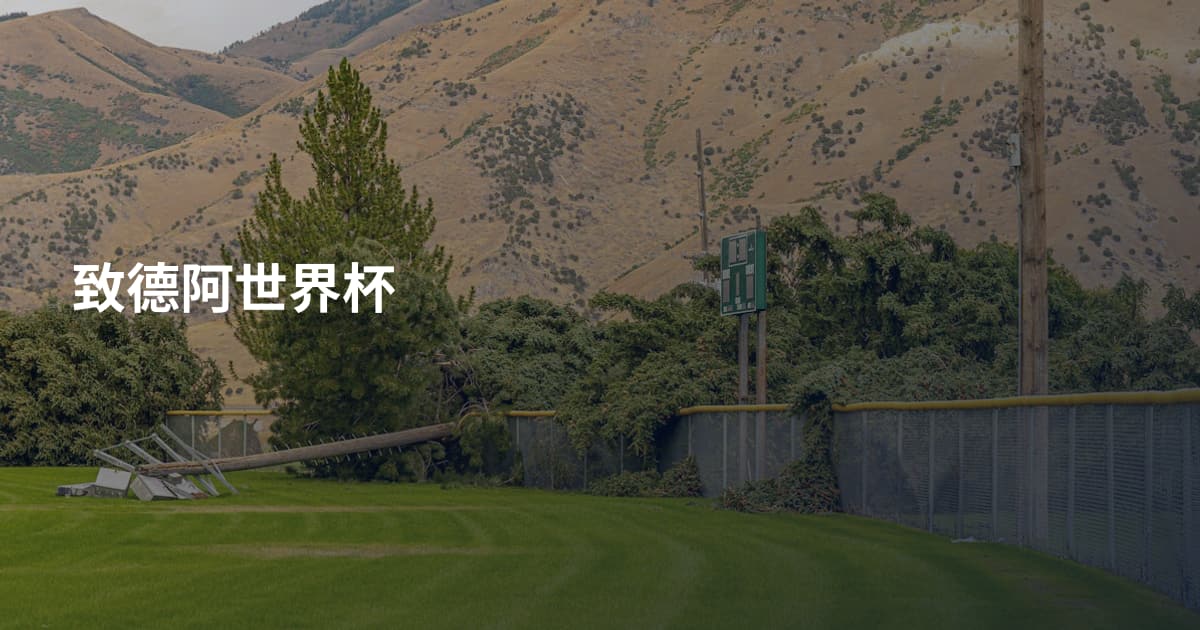 致德阿世界杯