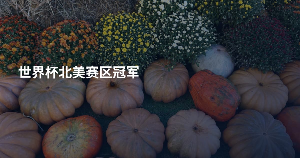 世界杯北美赛区冠军