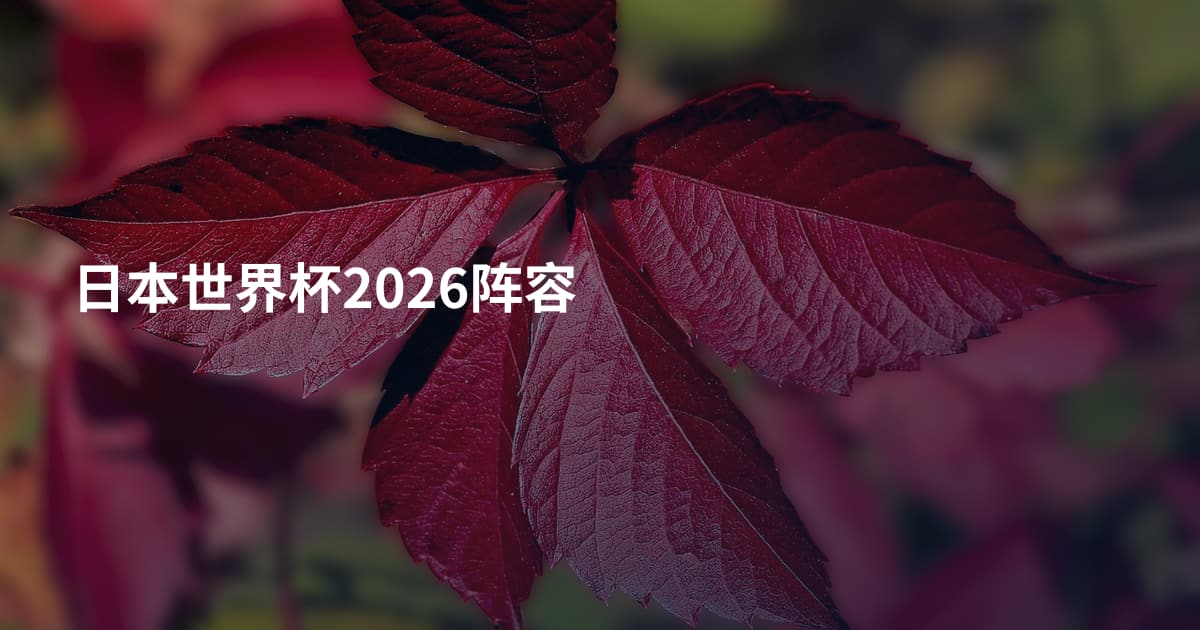 日本世界杯2026阵容