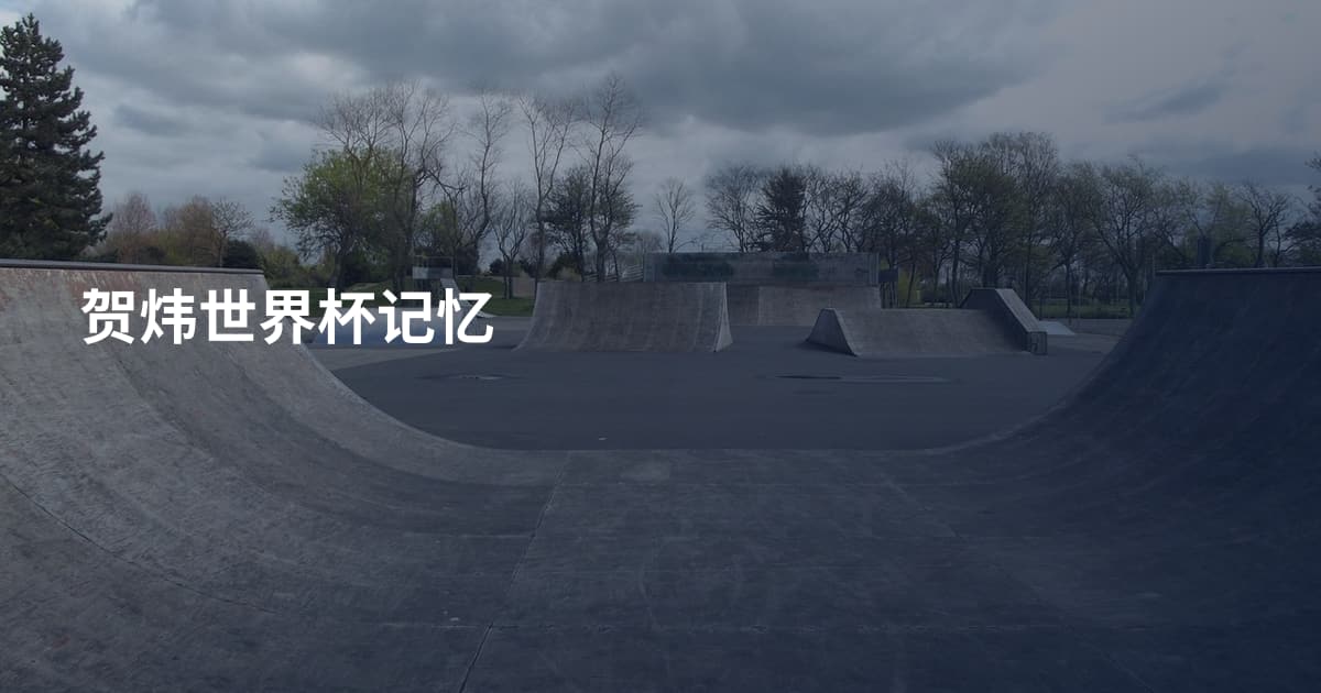 贺炜世界杯记忆