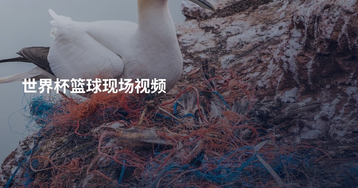 世界杯篮球现场视频
