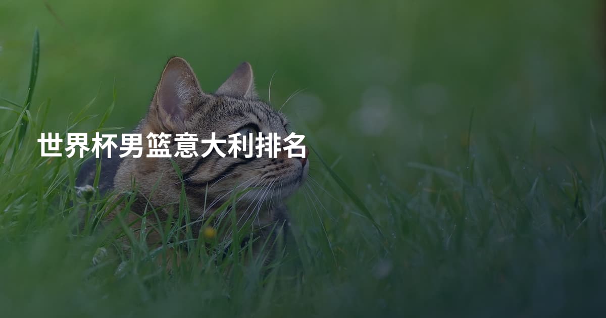 世界杯男篮意大利排名