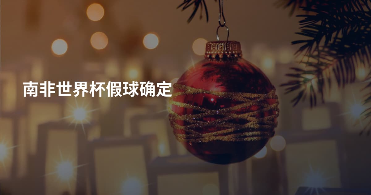 南非世界杯假球确定
