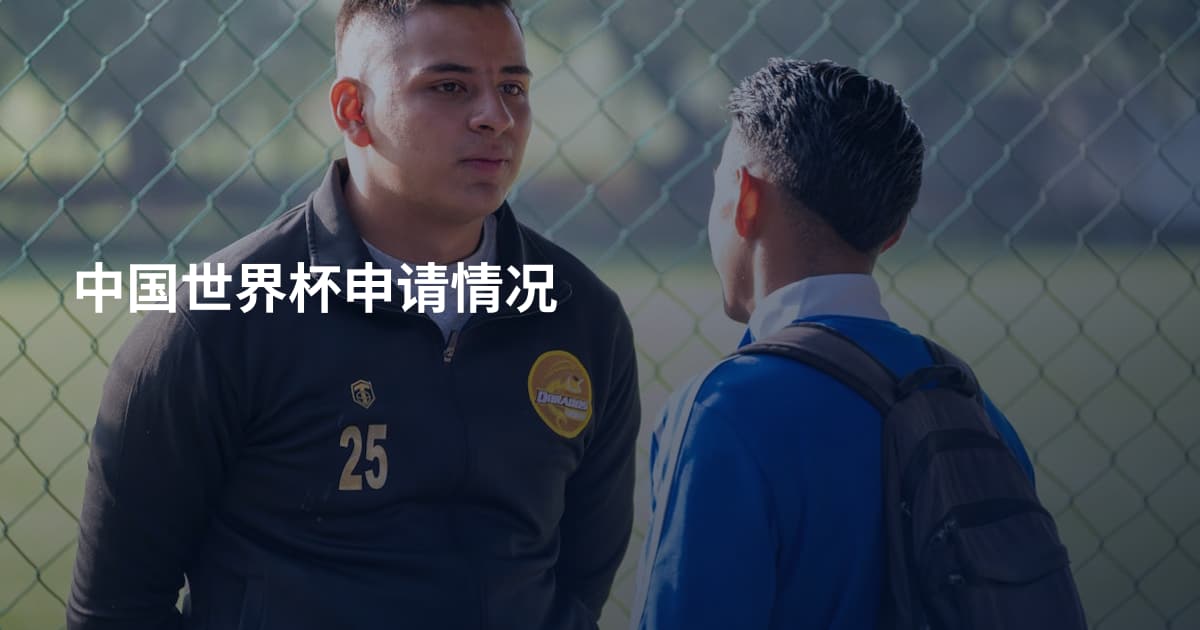 中国世界杯申请情况