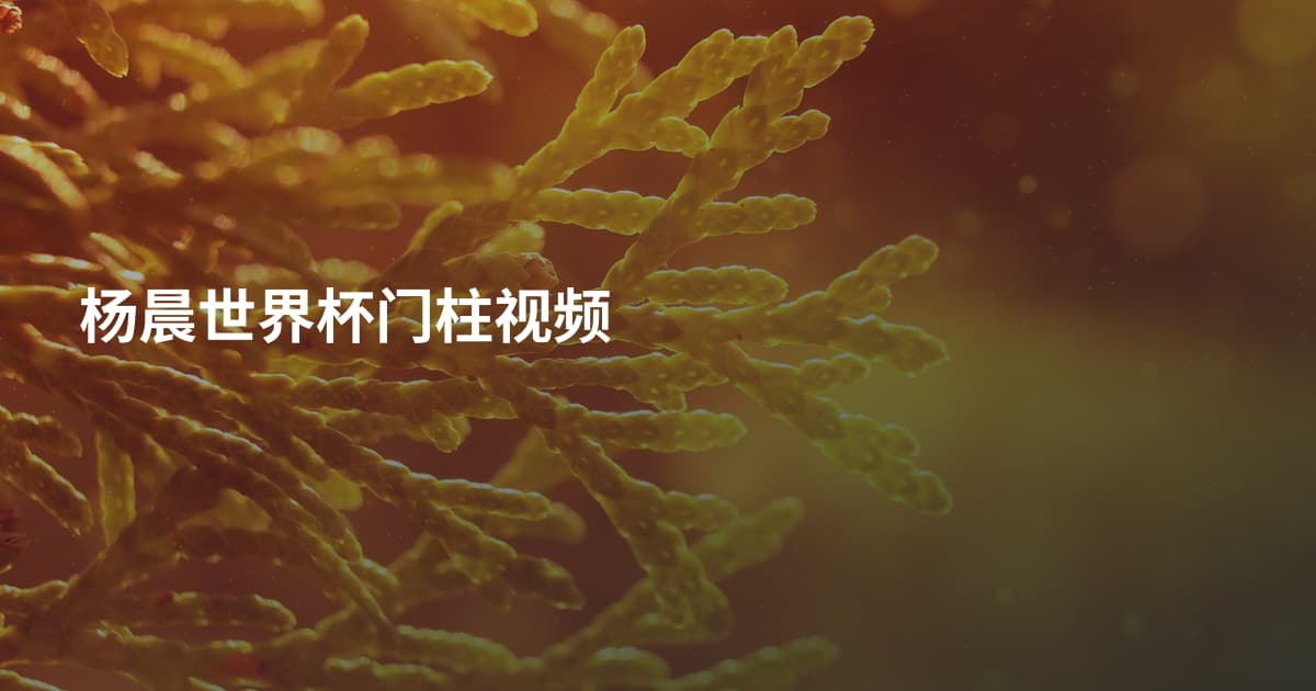杨晨世界杯门柱视频