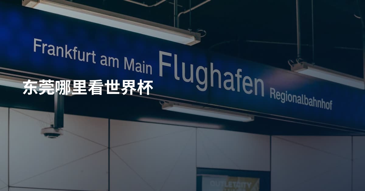 东莞哪里看世界杯
