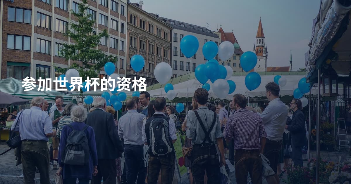 参加世界杯的资格