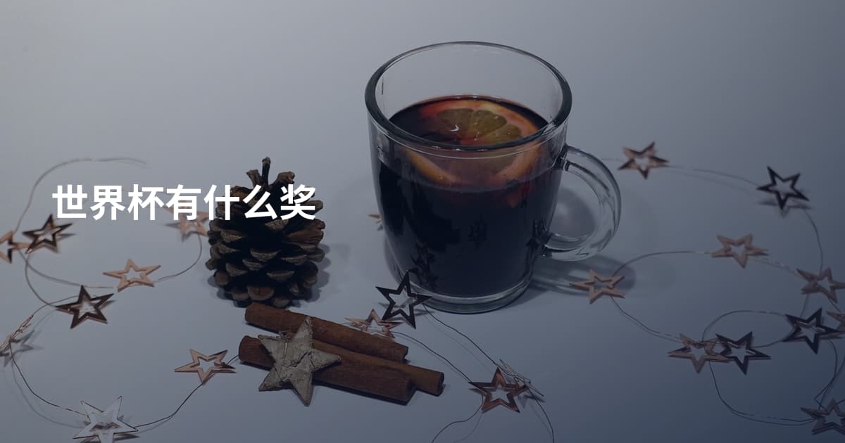 世界杯有什么奖