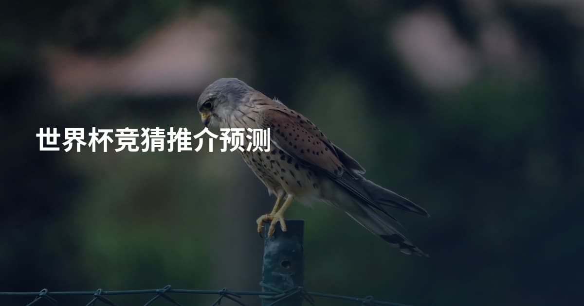 世界杯竞猜推介预测