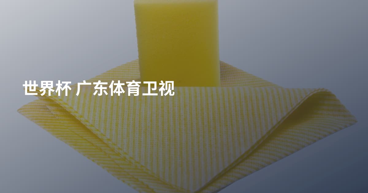 世界杯 广东体育卫视