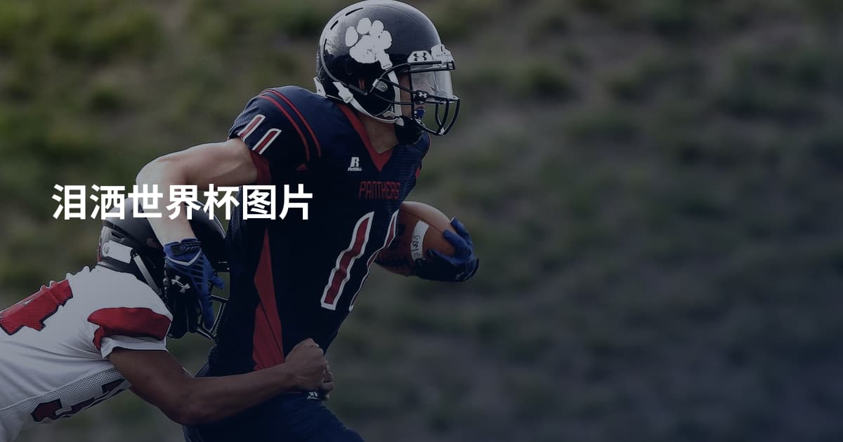 泪洒世界杯图片