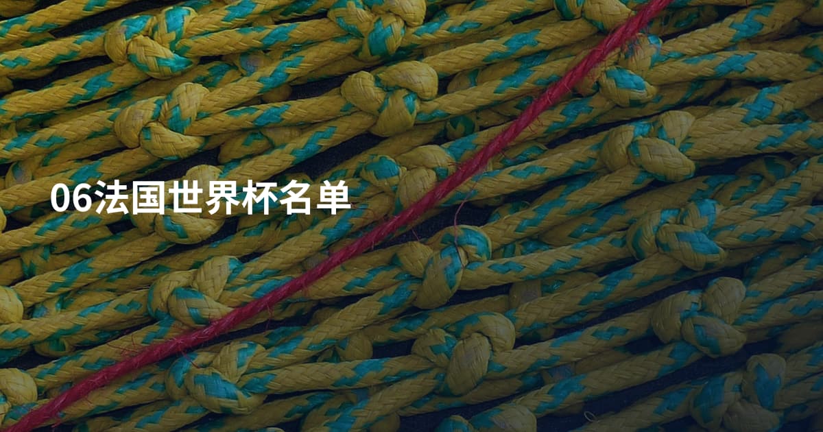 06法国世界杯名单