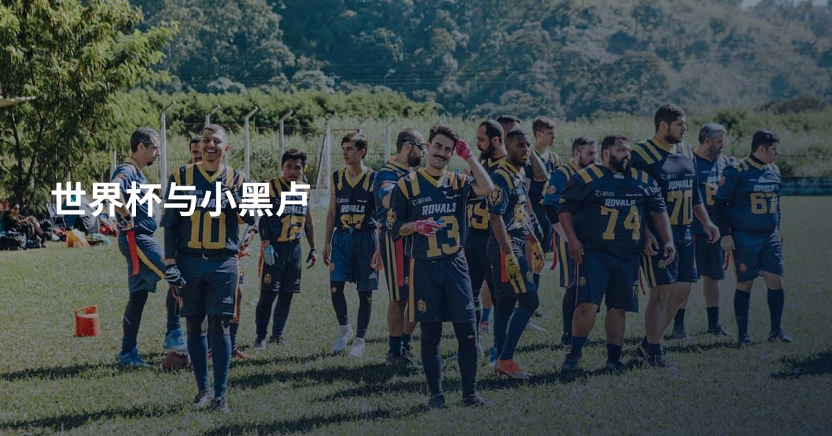 世界杯与小黑卢
