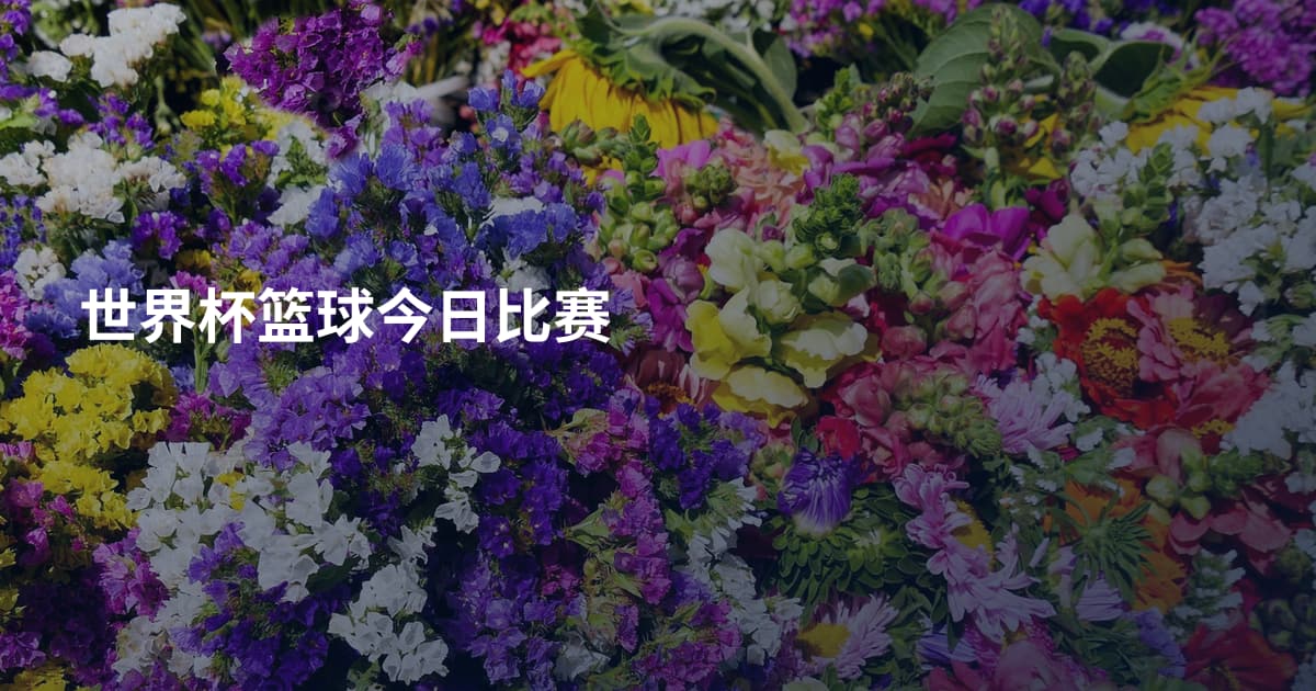 世界杯篮球今日比赛