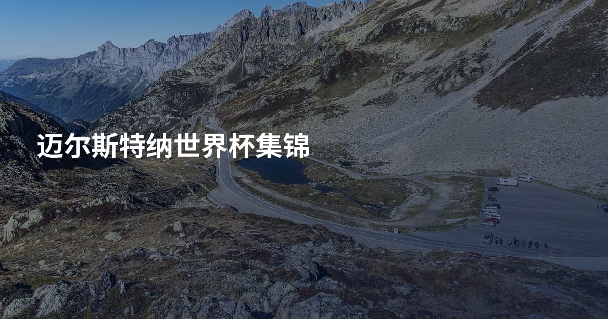 迈尔斯特纳世界杯集锦