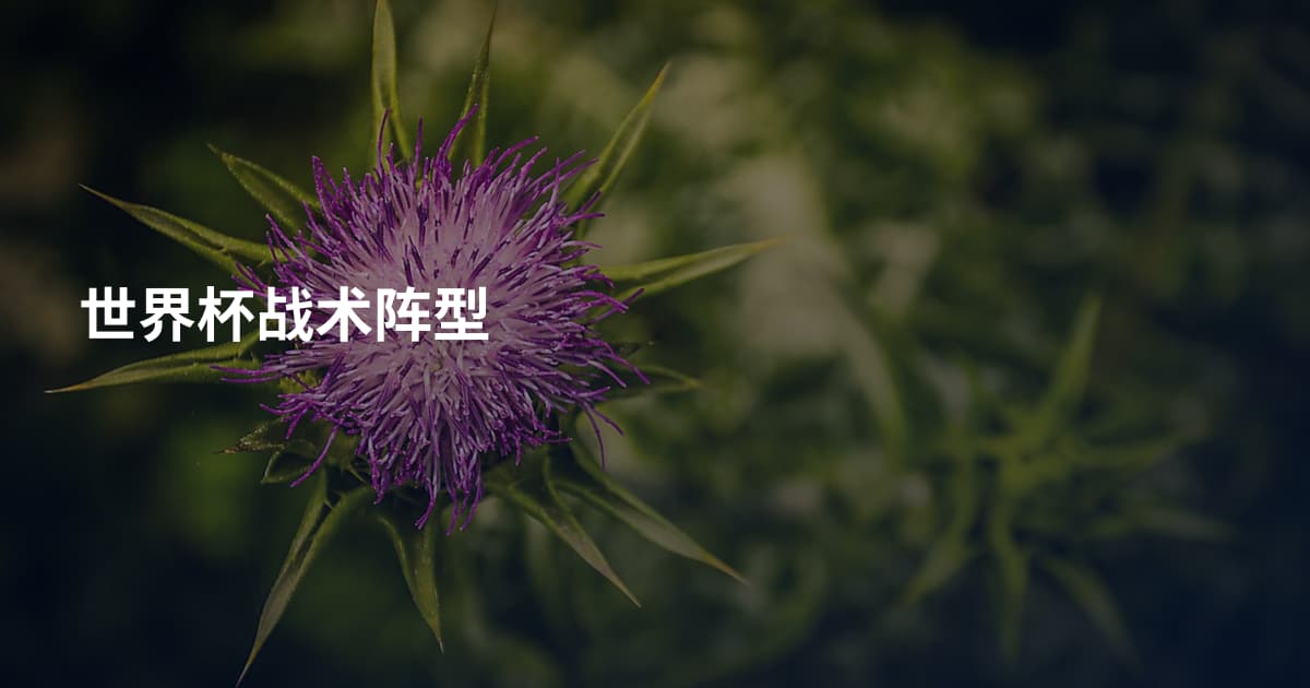 世界杯战术阵型