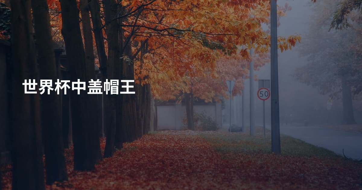 世界杯中盖帽王