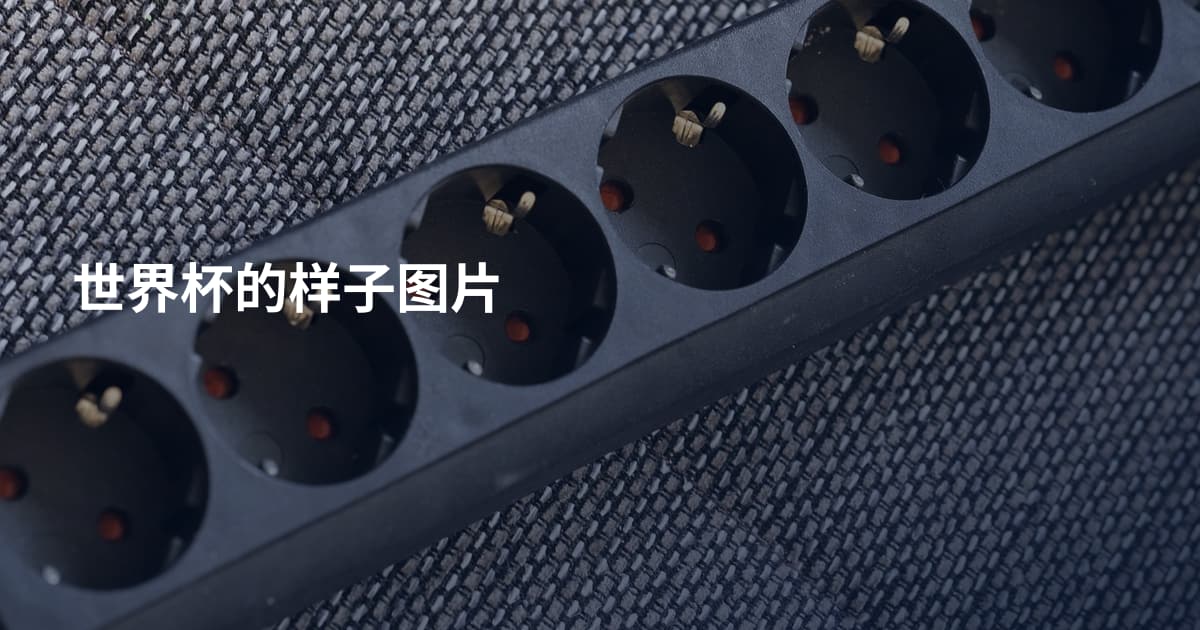 世界杯的样子图片