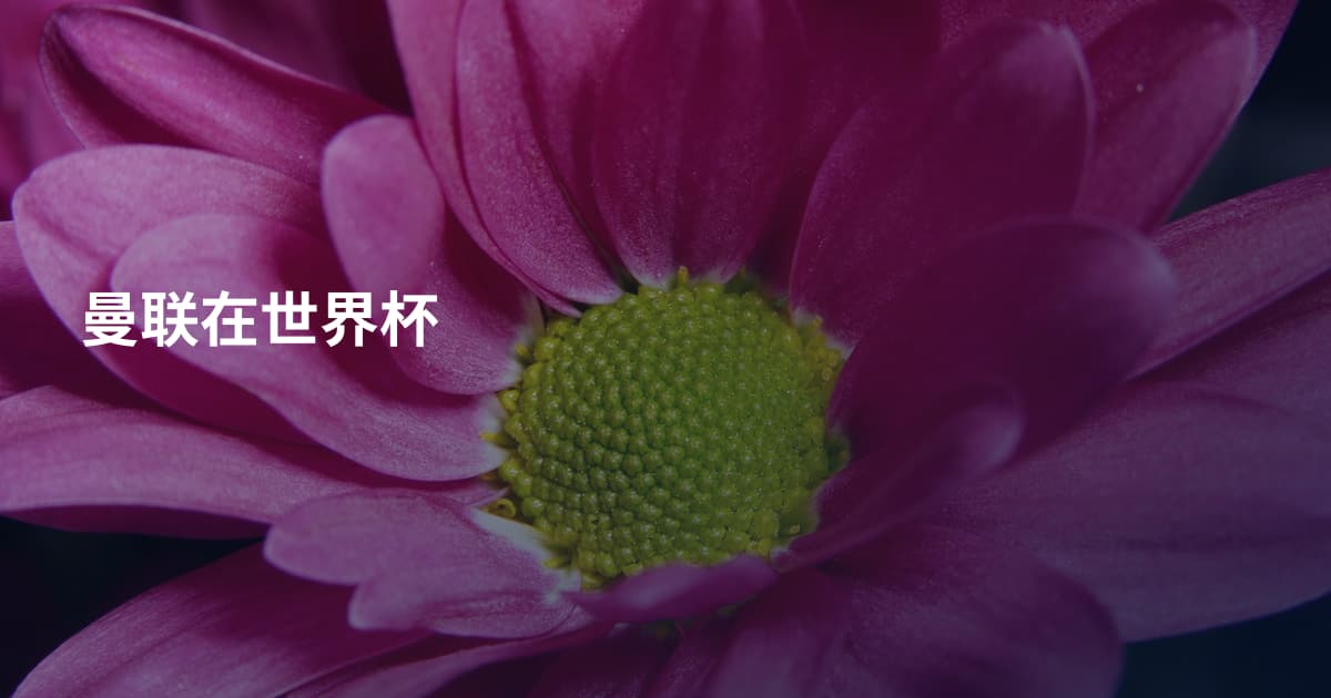 曼联在世界杯