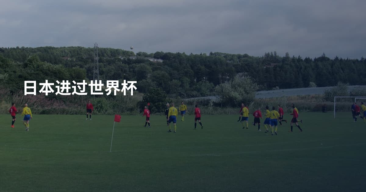 日本进过世界杯