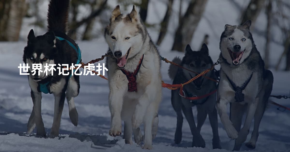 世界杯记忆虎扑