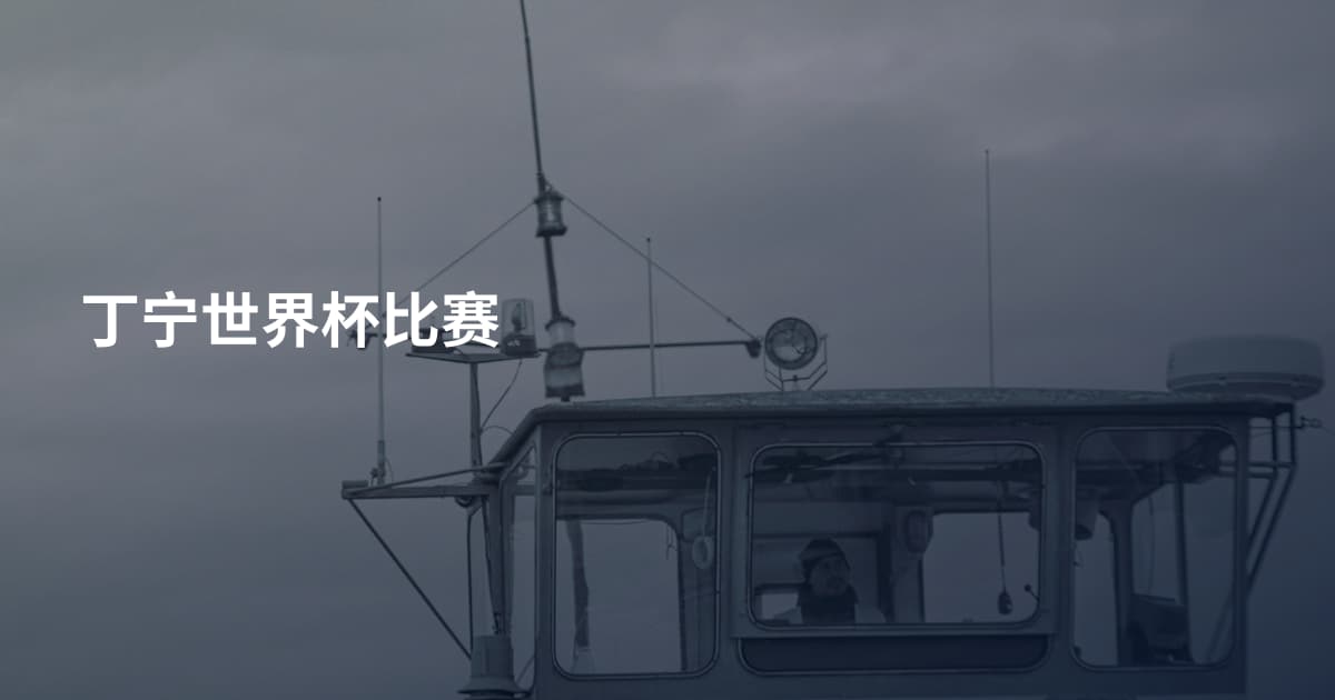 丁宁世界杯比赛