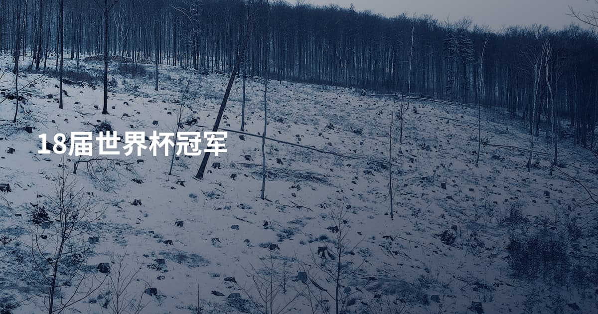18届世界杯冠军