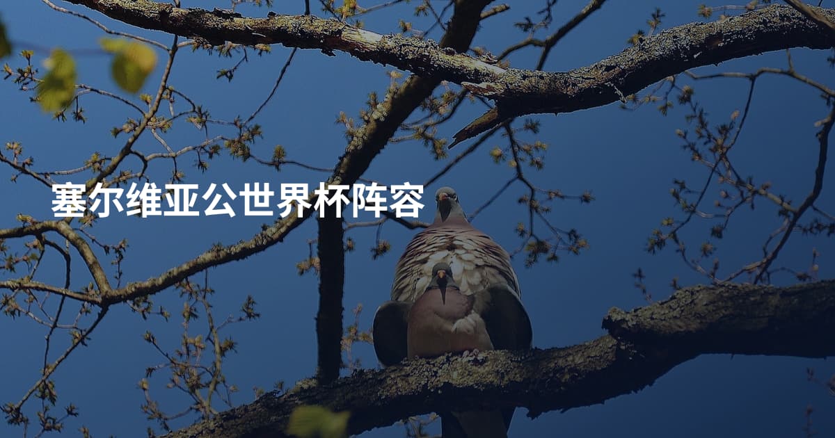 塞尔维亚公世界杯阵容
