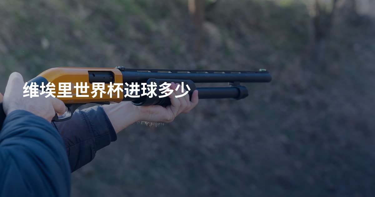 维埃里世界杯进球多少