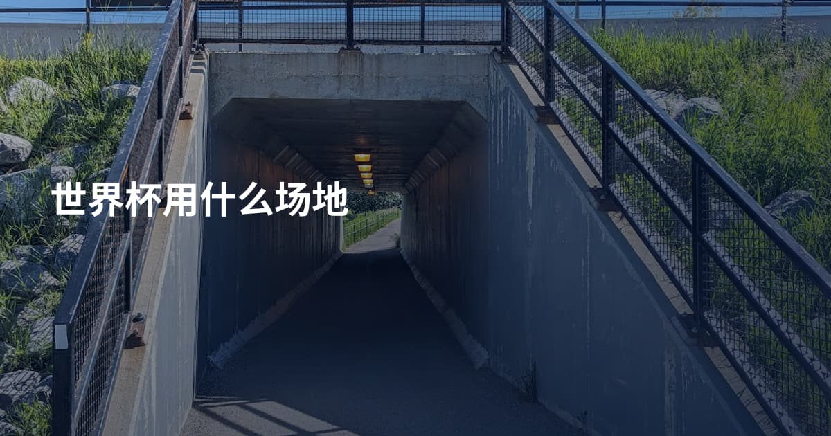 世界杯用什么场地