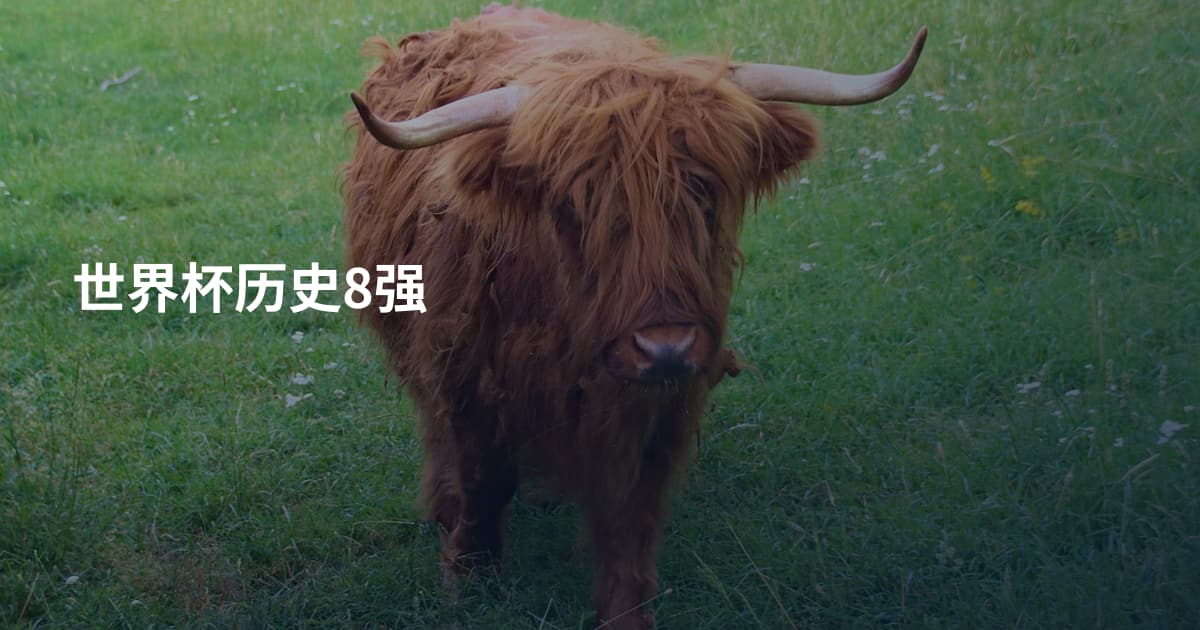 世界杯历史8强