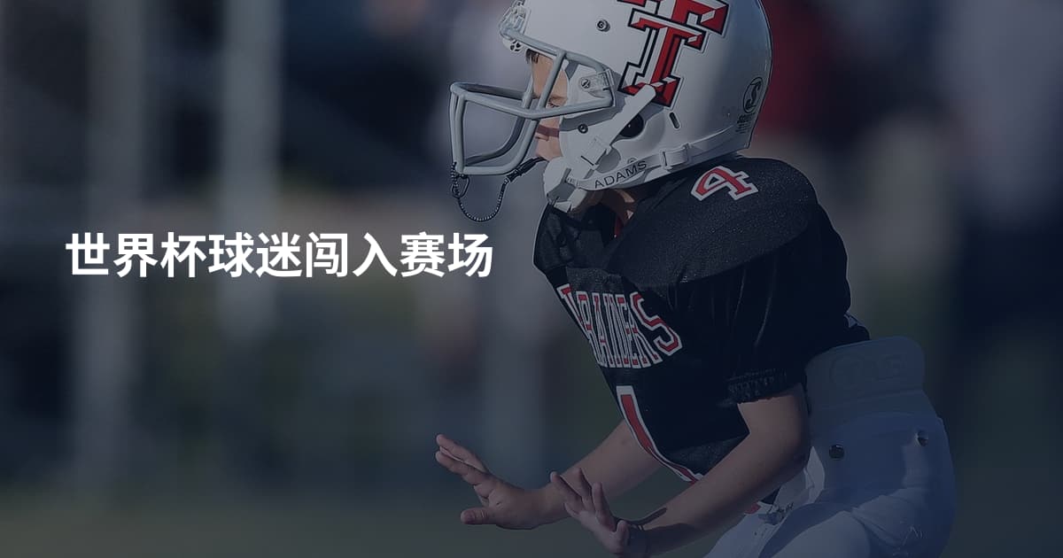世界杯球迷闯入赛场