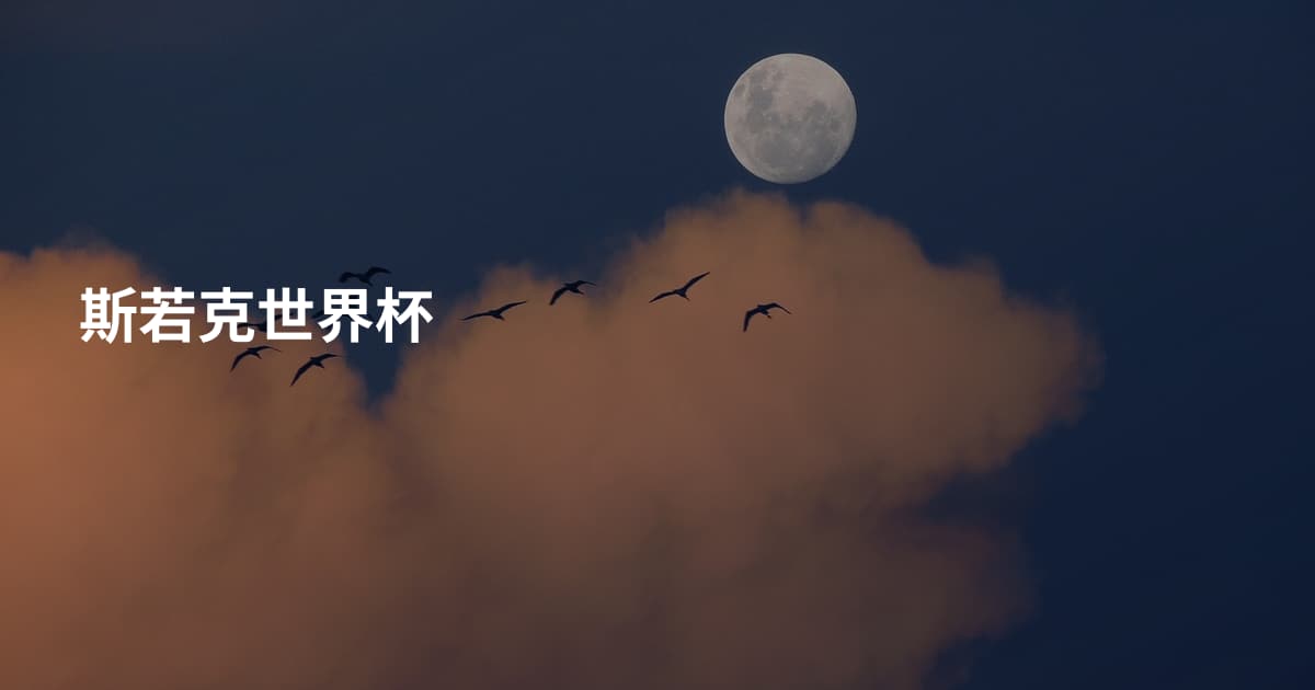 斯若克世界杯