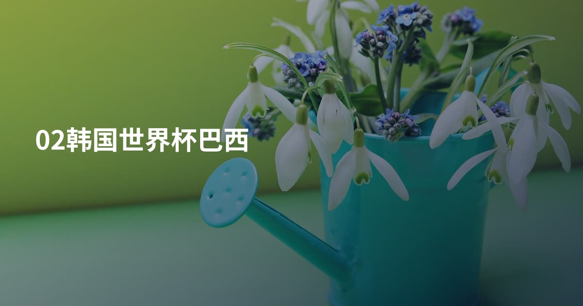 02韩国世界杯巴西
