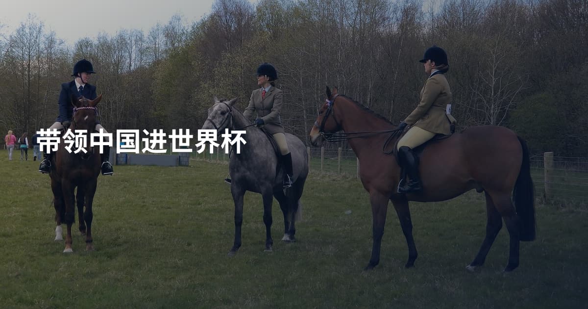 带领中国进世界杯