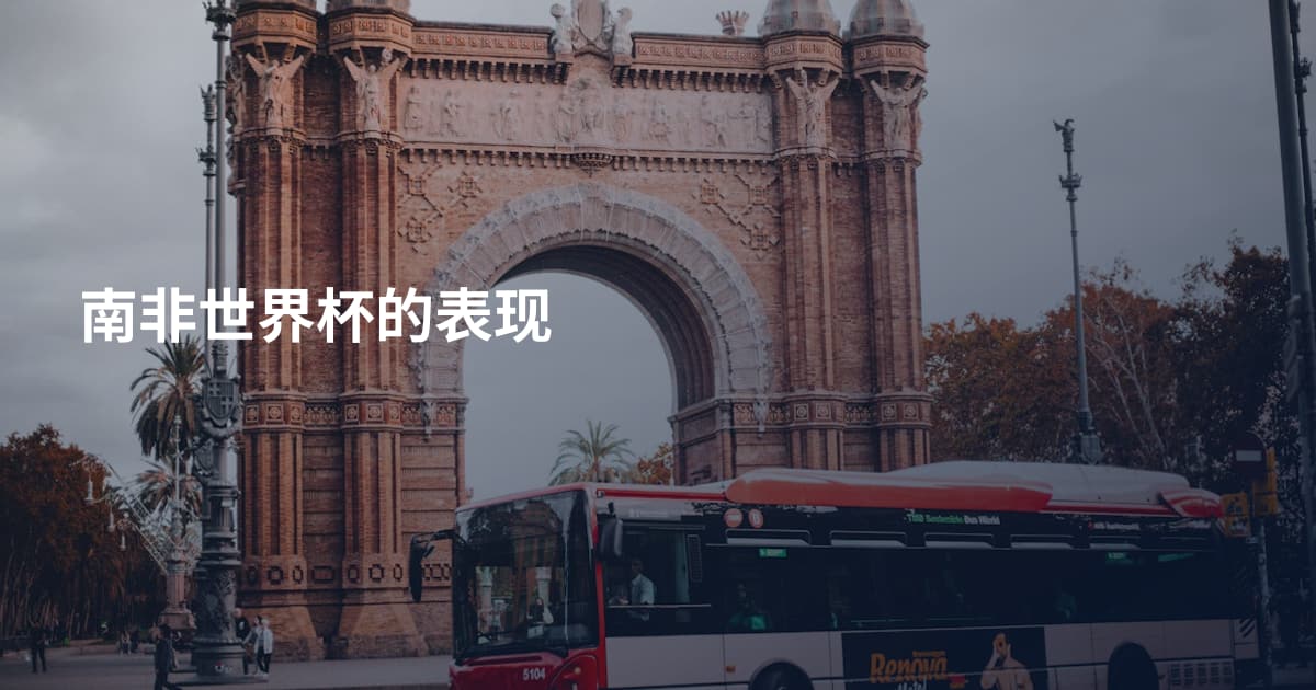 南非世界杯的表现