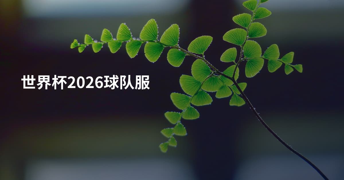 世界杯2026球队服