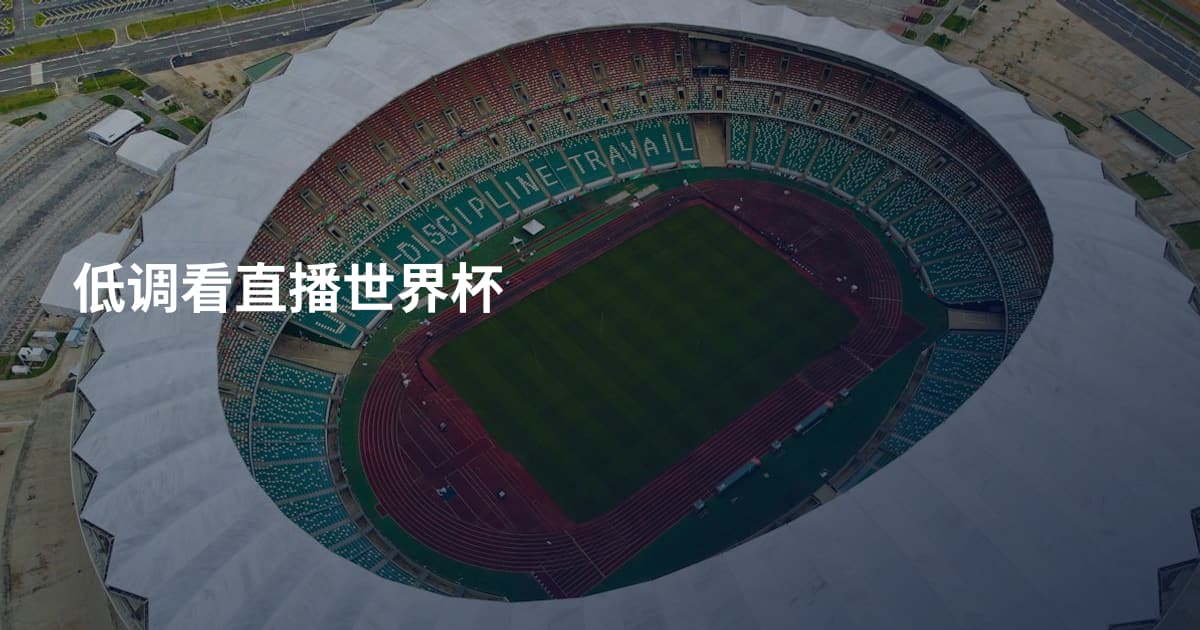 低调看直播世界杯