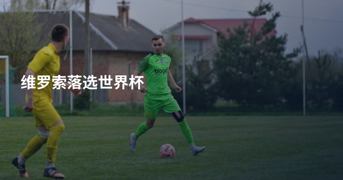 维罗索落选世界杯