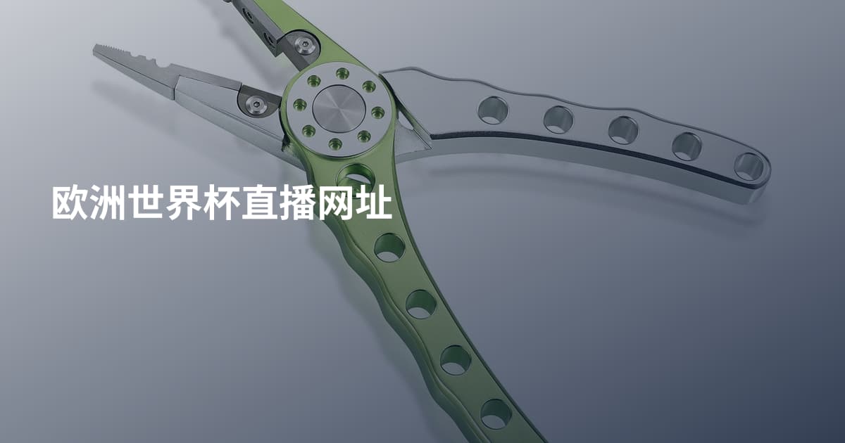 欧洲世界杯直播网址